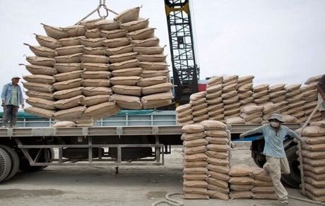 ثبات و کاهش بیشتر قیمت‌ها در بازار سیمان طی هفته‌های پیش‌رو