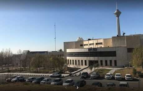 ضرب‌وشتم و فحاشی ماموران شهرداری به کارمندان دانشگاه تهران/هیچ درختی در مراکز دانشگاه تهران قطع نشده