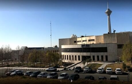 ضرب‌وشتم و فحاشی ماموران شهرداری به کارمندان دانشگاه تهران/هیچ درختی در مراکز دانشگاه تهران قطع نشده