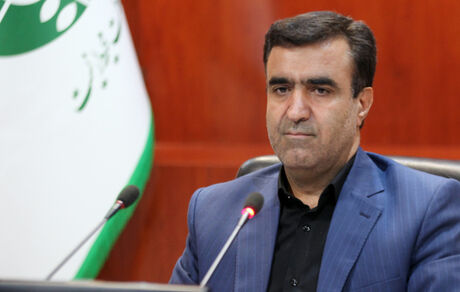 سلاجقه در جمع خبرنگاران: وزارتخانه‌های خارجه و نیرو برای دریافت حقابه تالاب هامون ورود کنند