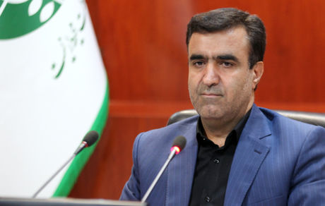 سلاجقه در جمع خبرنگاران: وزارتخانه‌های خارجه و نیرو برای دریافت حقابه تالاب هامون ورود کنند