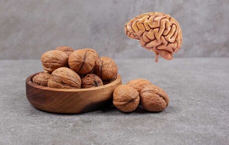 بهبود عملکرد مغز با مصرف گردو در صبحانه