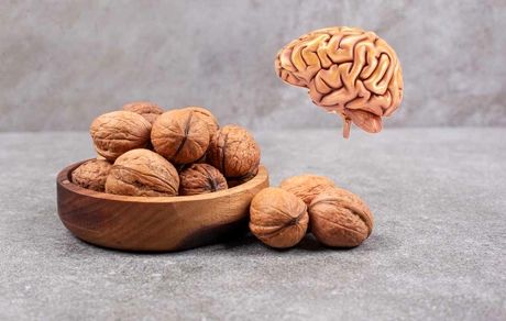 بهبود عملکرد مغز با مصرف گردو در صبحانه