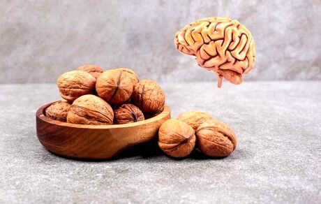 بهبود عملکرد مغز با مصرف گردو در صبحانه