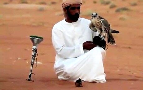 صدها پرنده زینتی ایرانی به کویت فرستاده شد / محیط‌زیست مجوز داده!