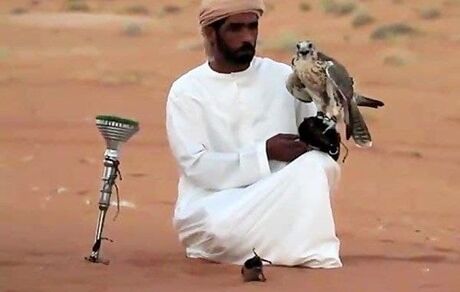 صدها پرنده زینتی ایرانی به کویت فرستاده شد / محیط‌زیست مجوز داده!