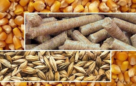 بارگذاری نهاده‌های دامی با قیمت جدید از امروز