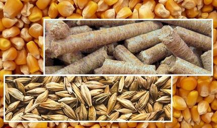 بارگذاری نهاده‌های دامی با قیمت جدید از امروز
