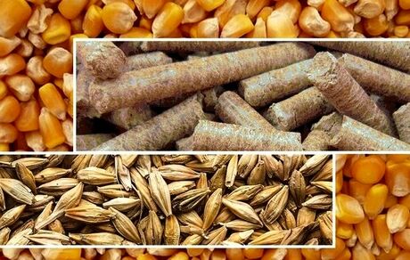 بارگذاری نهاده‌های دامی با قیمت جدید از امروز