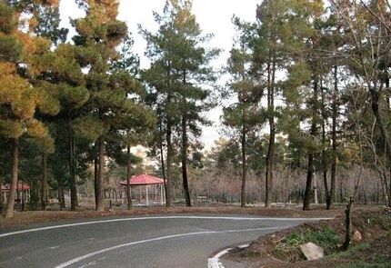 سند طرح مدیریت بهره وری بوستان های چهار گانه جنگلی شمال تهران امضا شد