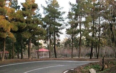 سند طرح مدیریت بهره وری بوستان های چهار گانه جنگلی شمال تهران امضا شد