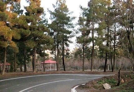 سند طرح مدیریت بهره وری بوستان های چهار گانه جنگلی شمال تهران امضا شد