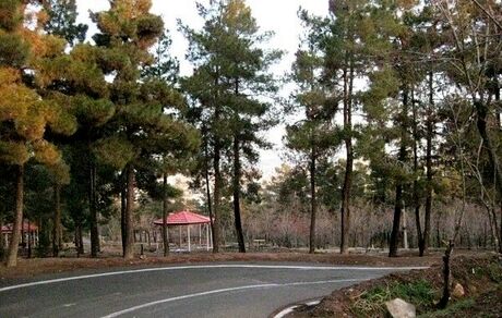سند طرح مدیریت بهره وری بوستان های چهار گانه جنگلی شمال تهران امضا شد