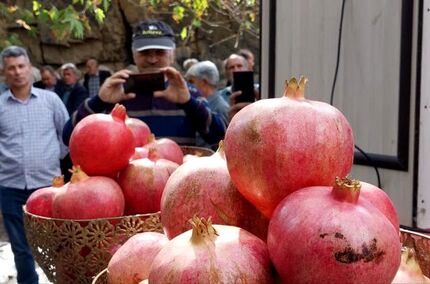 دومین جشنواره انار روستای گوو در بخش کاغذکنان شهرستان میانه برگزار شد