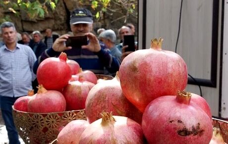 دومین جشنواره انار روستای گوو در بخش کاغذکنان شهرستان میانه برگزار شد