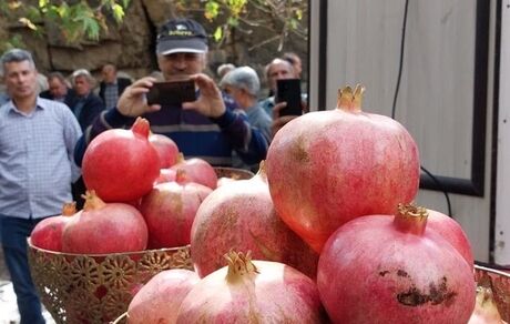 دومین جشنواره انار روستای گوو در بخش کاغذکنان شهرستان میانه برگزار شد