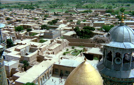 
آغاز جشنواره سینما حقیقت با «باد صبا»
