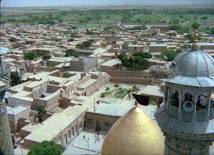 
آغاز جشنواره سینما حقیقت با «باد صبا»
