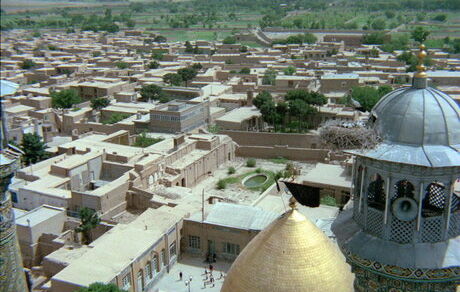 
آغاز جشنواره سینما حقیقت با «باد صبا»

