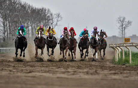 پایان روز دوم هفته چهارم مسابقات کورس اسبدوانی بهاره گنبد کاووس