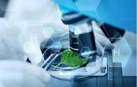 آورده ۱۵ هزار میلیاردی زیست‎‌فناوری درسال ‎گذشته/اعطای تسهیلات برای کاهش مهاجرت نخبگان بیوتک