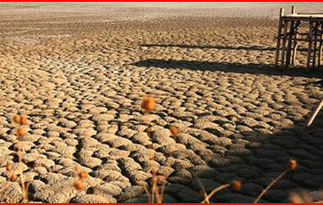 ۴۳ درصد تالاب‌های کشور در معرض تبدیل شدن به منشأ گرد و غبار