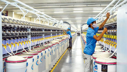 ۱۵ میلیون یورو الیاف از کشور صادر شد