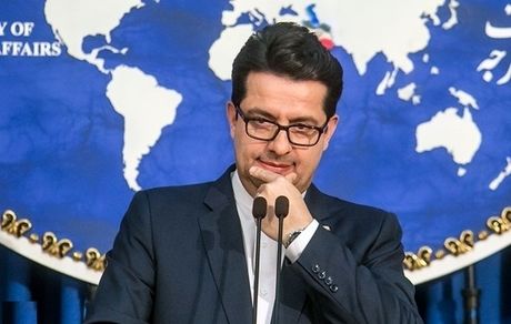 نشست سران آستانه به زودی برگزار می‌شود/ تکذیب شکنجه اتباع افغانستانی از سوی مرزبانی ایران