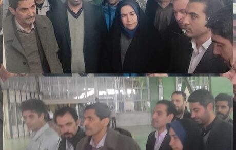 معاون وزیر صمت: ۴۰۰ گروه در حوزه واردات خودرو ثبت‌نام کردند