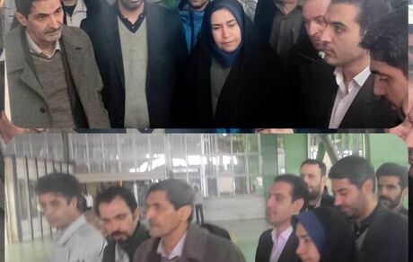 معاون وزیر صمت: ۴۰۰ گروه در حوزه واردات خودرو ثبت‌نام کردند