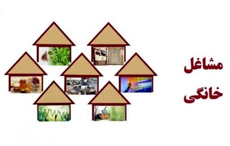 امسال، اعتبارات مشاغل خانگی ۳۳درصد افزایش یافته است