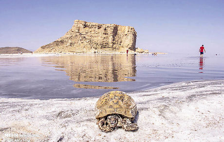 وضعیت دریاچه ارومیه بحرانی شد/ کاهش ۶۶ سانتیمتری سطح تراز