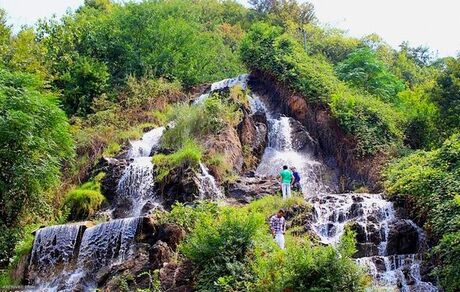 جشنواره ملی چای برگزار شد