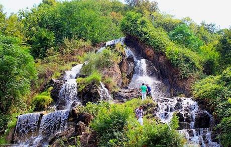 جشنواره ملی چای برگزار شد