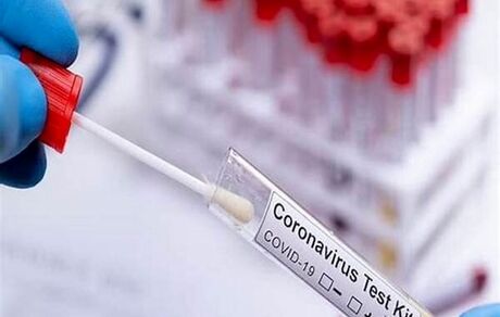مسافرین عراقی ملزم به انجام تست PCR شدند