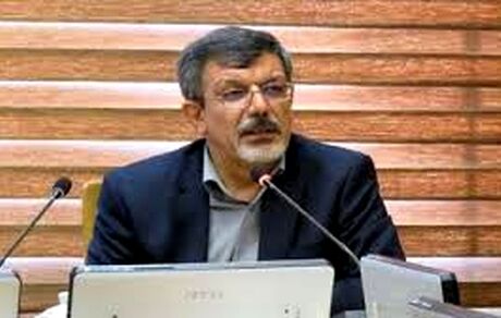 مدیرکل غذا وزارت بهداشت: خبر مسمومیت مصرف یک برند بستنی جعلی است