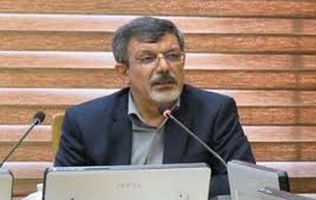 مدیرکل غذا وزارت بهداشت: خبر مسمومیت مصرف یک برند بستنی جعلی است