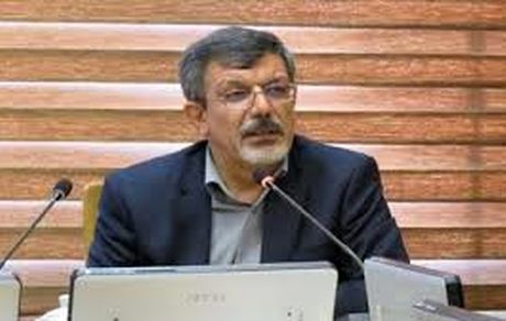 مدیرکل غذا وزارت بهداشت: خبر مسمومیت مصرف یک برند بستنی جعلی است