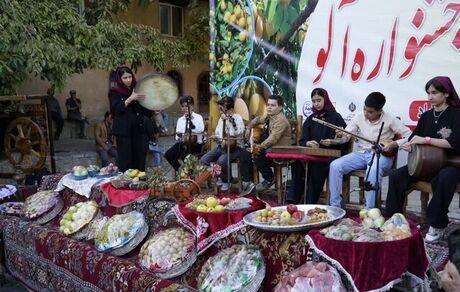جشنواره آلو در ماسوله غرب برگزار شد