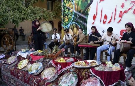 جشنواره آلو در ماسوله غرب برگزار شد