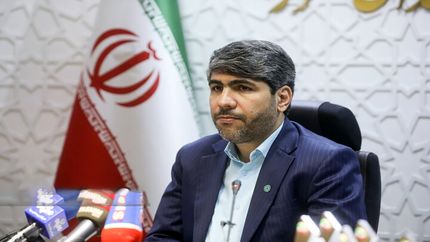 استخدام پیمانی مدال‌های جهانی، المپیک و پارالمپیک در دولت