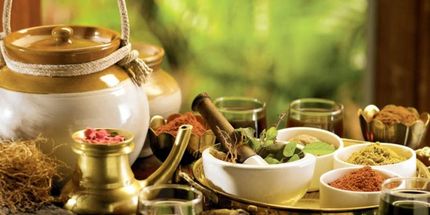 
قوی‌ترین دمنوش‌های گیاهی برای کاهش چربی خون
