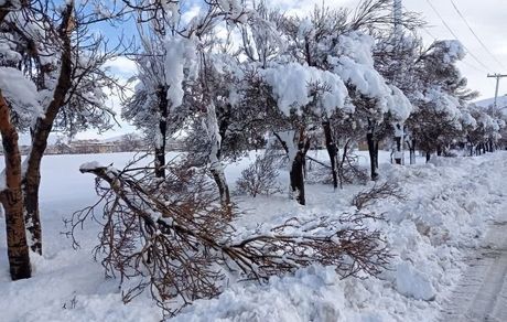 تعطیلی مدارس و شروع دیرتر ادارات در بانه