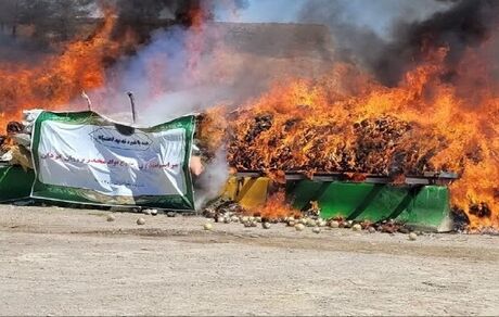 امحای ۲۰ تن انواع مواد مخدر در مشهد