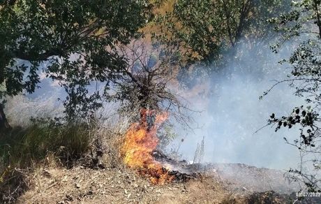 مهار آتش سوزی جنگل‌های گالیکش