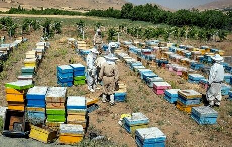 پرداخت ۵۰۰۰ میلیارد تومان تسهیلات اشتغال صندوق کارآفرینی امید در سال جاری