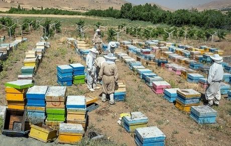 پرداخت ۵۰۰۰ میلیارد تومان تسهیلات اشتغال صندوق کارآفرینی امید در سال جاری