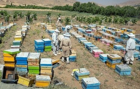 پرداخت ۵۰۰۰ میلیارد تومان تسهیلات اشتغال صندوق کارآفرینی امید در سال جاری
