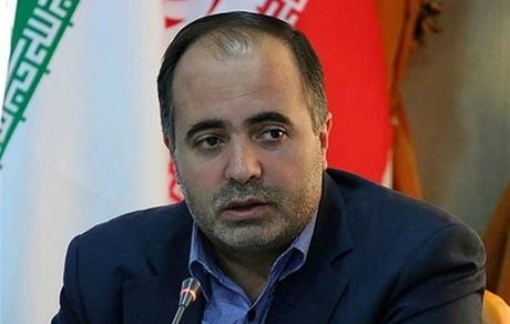 وزیر کشاورزی خبرداد: رفع مشکل تأمین ارز نهاده‌های دامی 