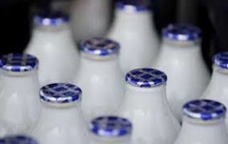 آیا در لبنیات پرچرب از روغن پالم استفاده می شود؟